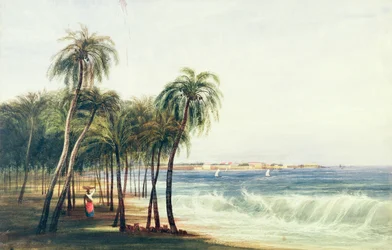 Ansicht von Colombo, Ceylon